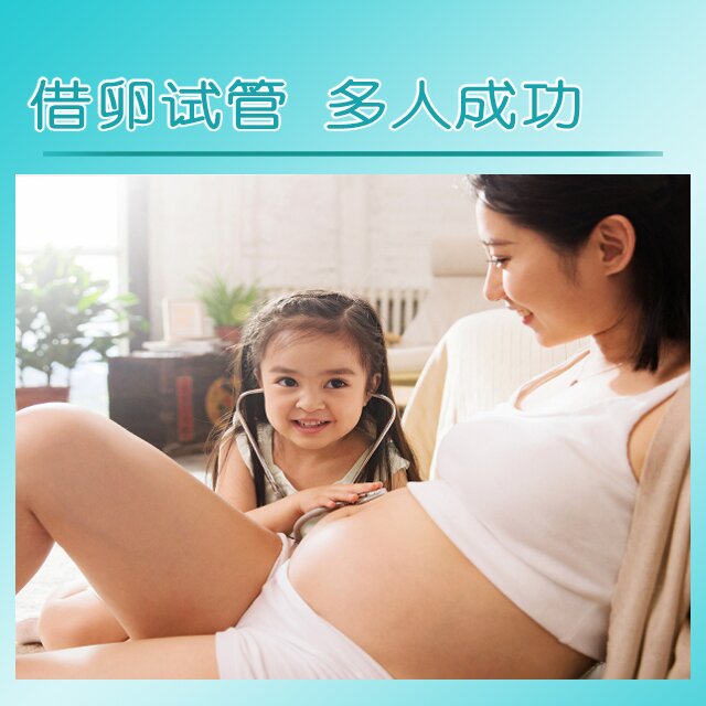 法国代孕公司