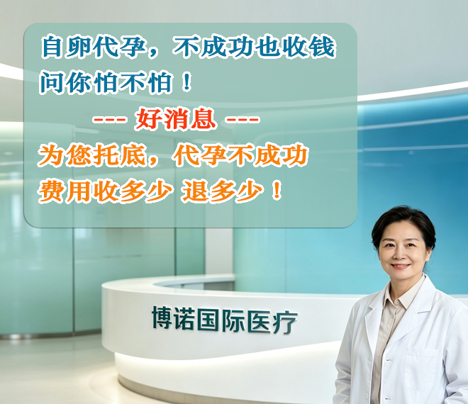 法国代孕